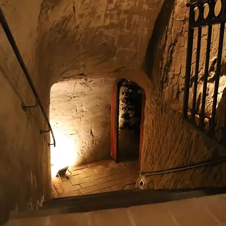 Castello Montegiove 4*