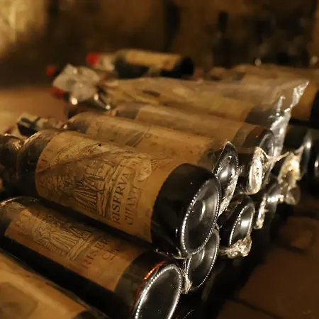 Castello Montegiove Отель Фано