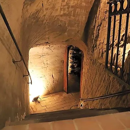 Castello Montegiove 4*
