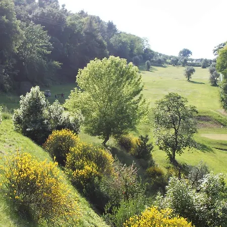 Castello Montegiove 4*