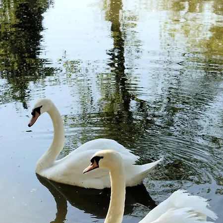 Castello Montegiove Отель 4*